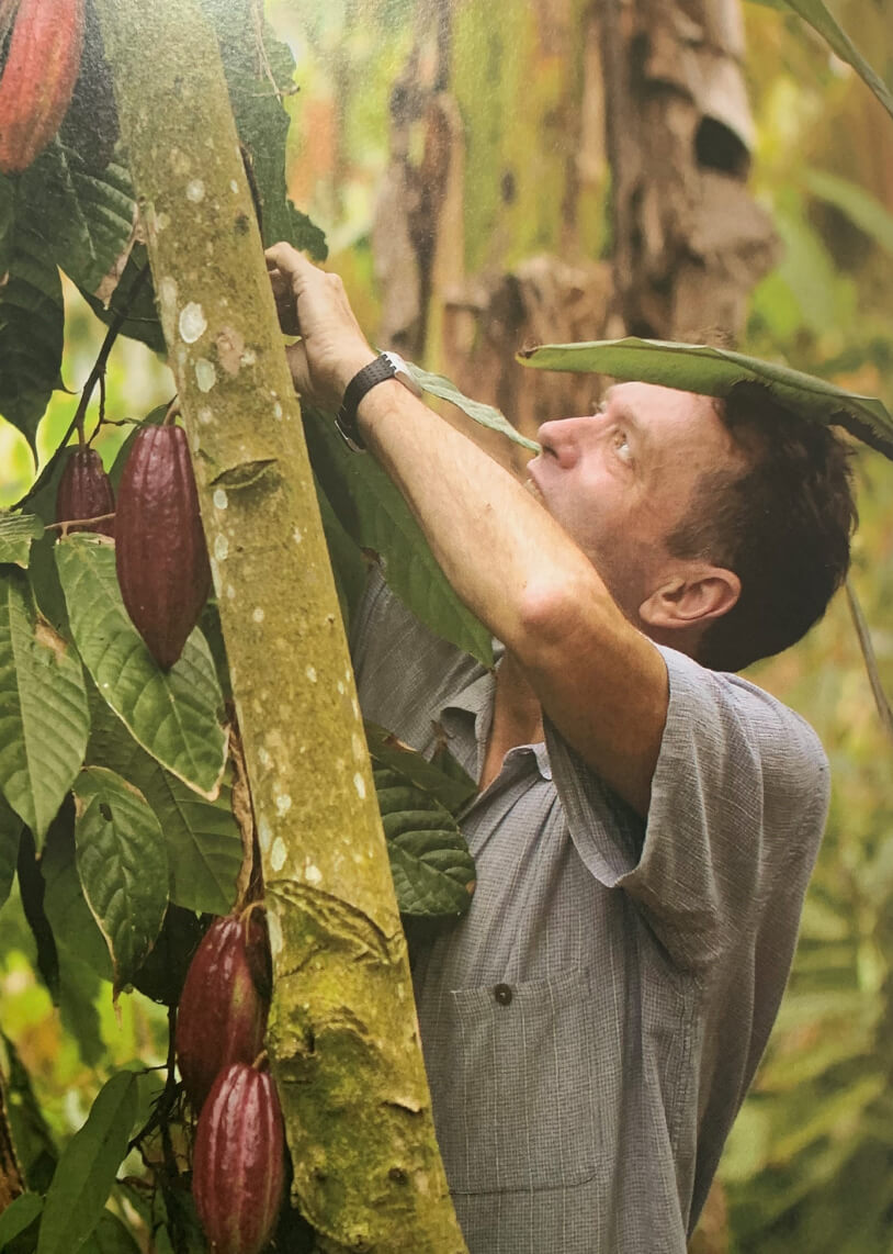 A man in a khaki shirt picking cacao pods in a jungle