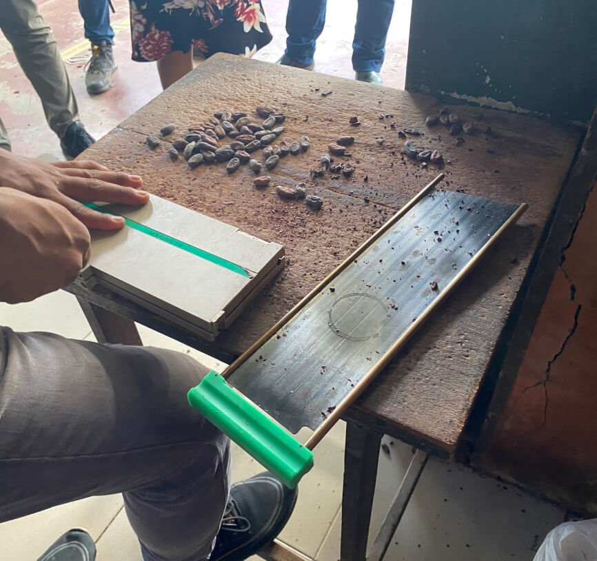 A table with cacao beans and tools for crushing them